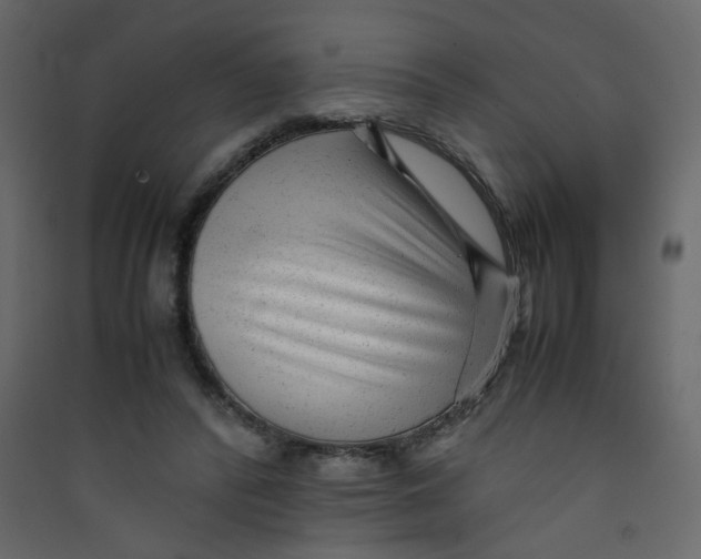 X0000089450400200707131931