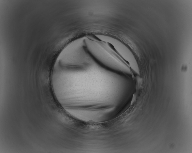 X0000089450401200707131931