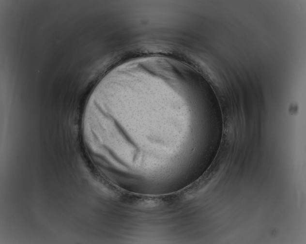 X0000089450402200707131931