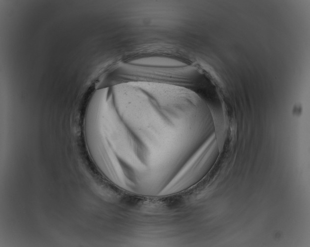 X0000089450403200707131931