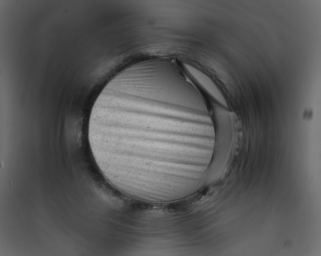 X0000089450404200707131931