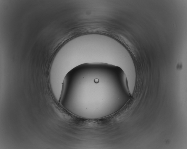 X0000089450405200707131931