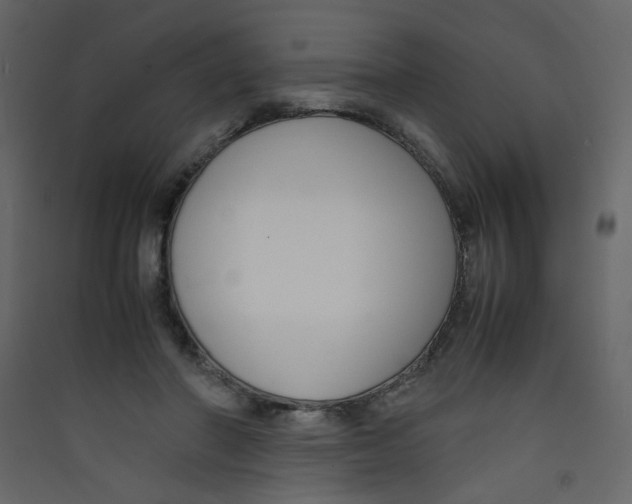 X0000089450406200707131931