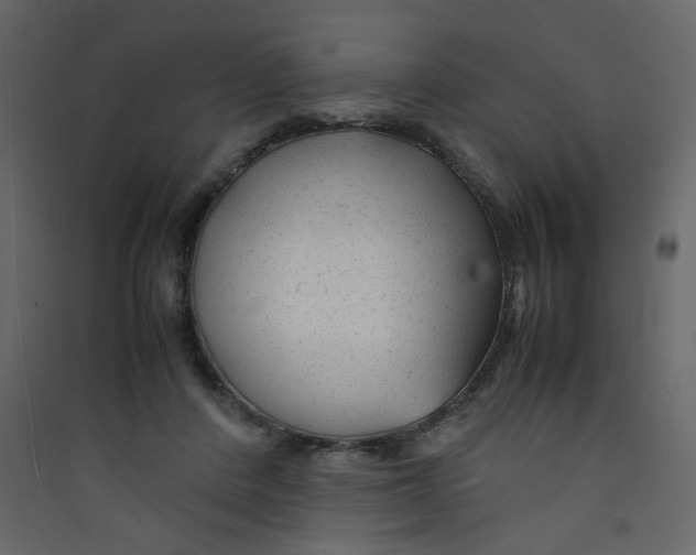 X0000089450408200707131931