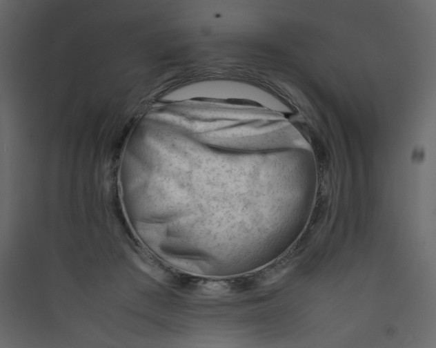 X0000089450409200707131931