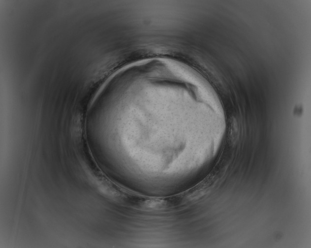 X0000089450410200707131931