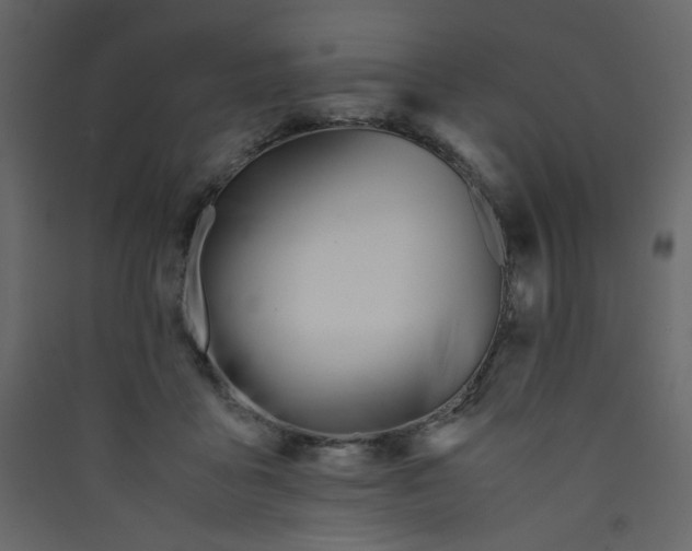 X0000089450411200707131931