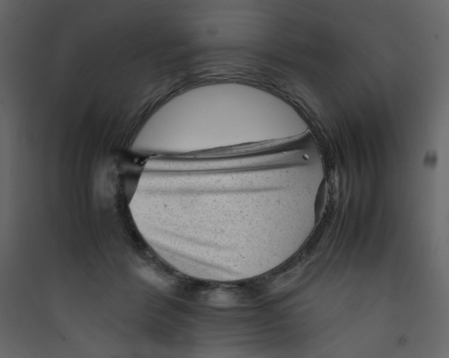 X0000089450412200707131931