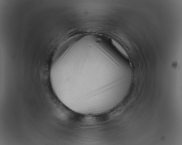 X0000089450413200707131931