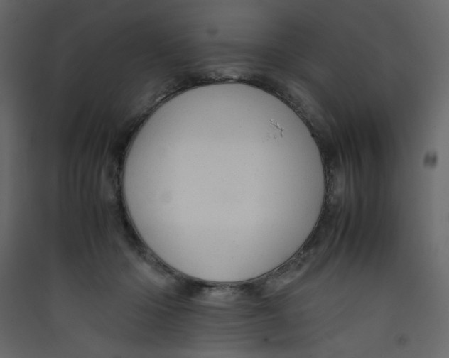 X0000089450414200707131931