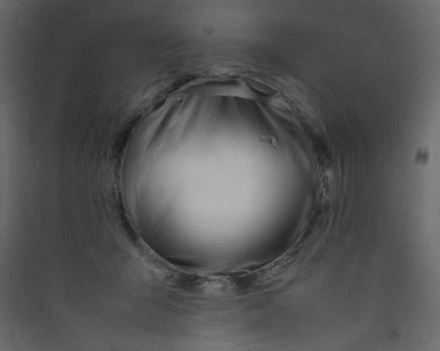 X0000089450415200707131931