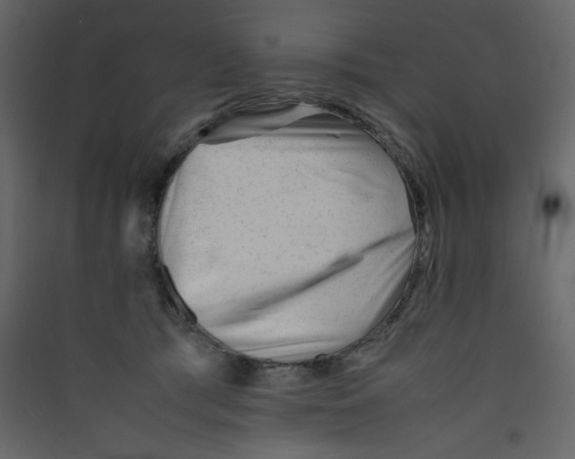 X0000089450417200707131931