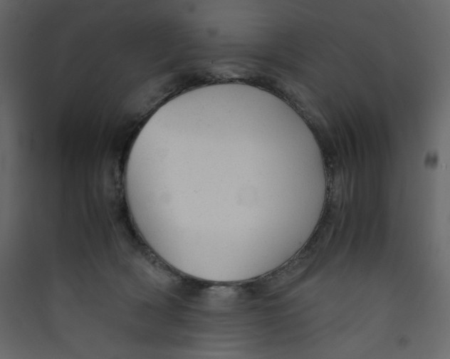 X0000089450418200707131931