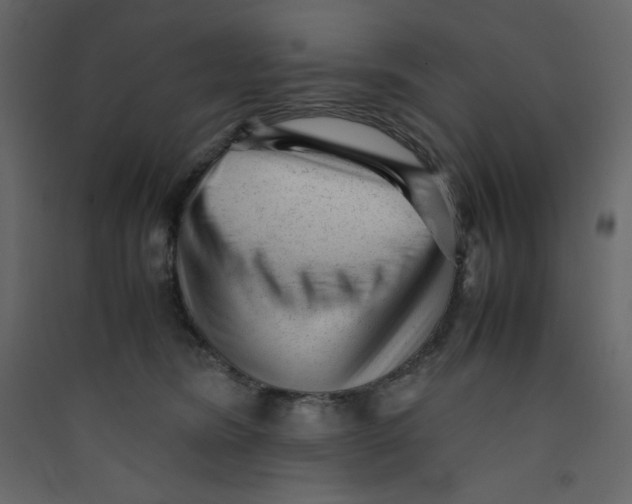 X0000089450420200707131931