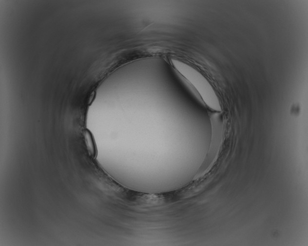 X0000089450421200707131931