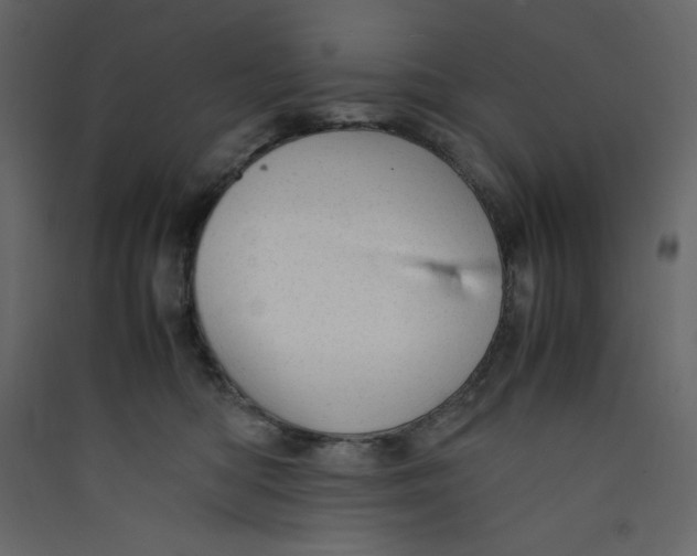 X0000089450422200707131931