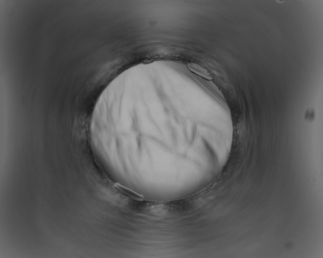 X0000089450423200707131931