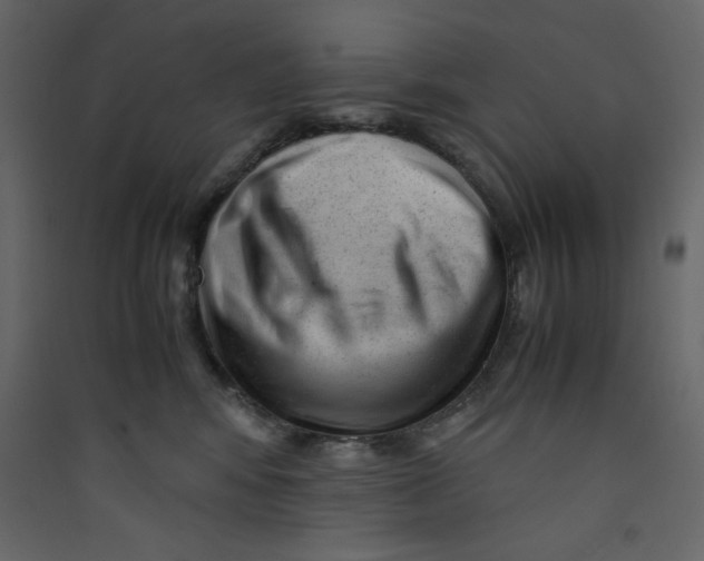 X0000089450424200707131931