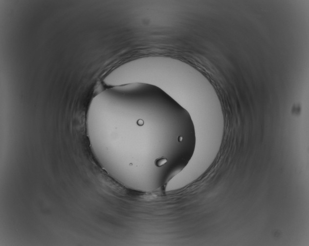 X0000089450425200707131931