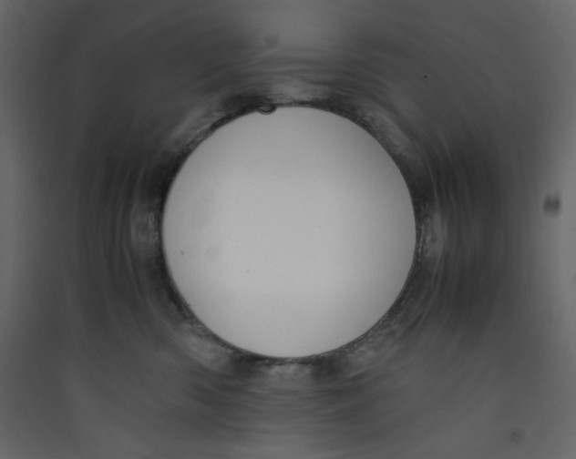 X0000089450426200707131931