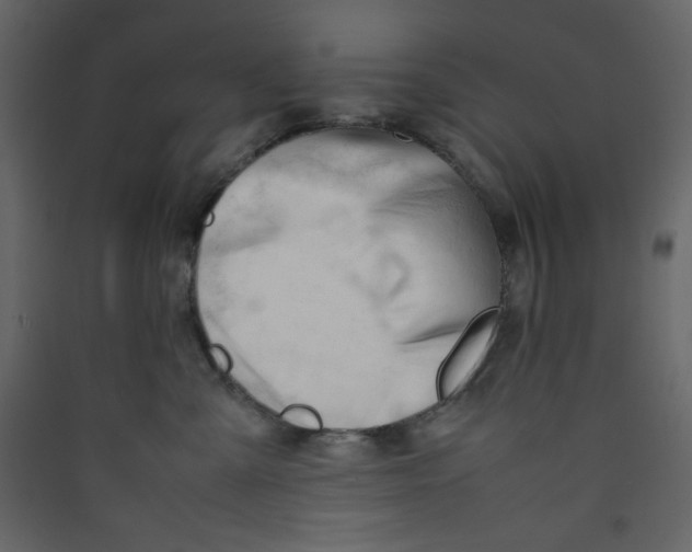 X0000089450427200707131931