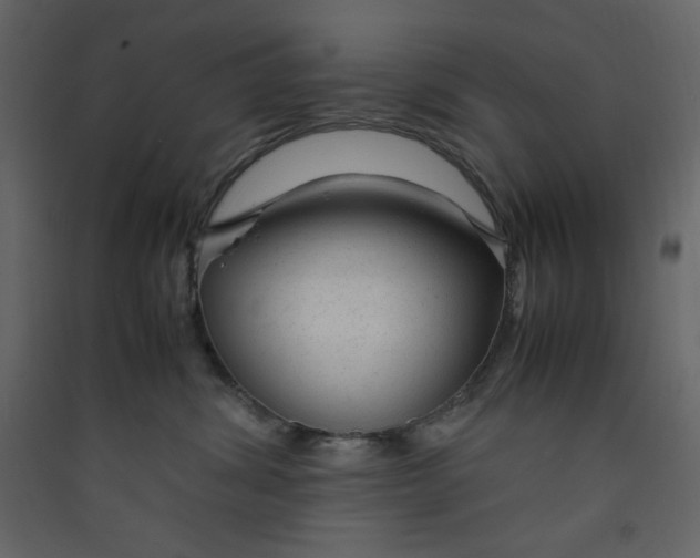 X0000089450428200707131931