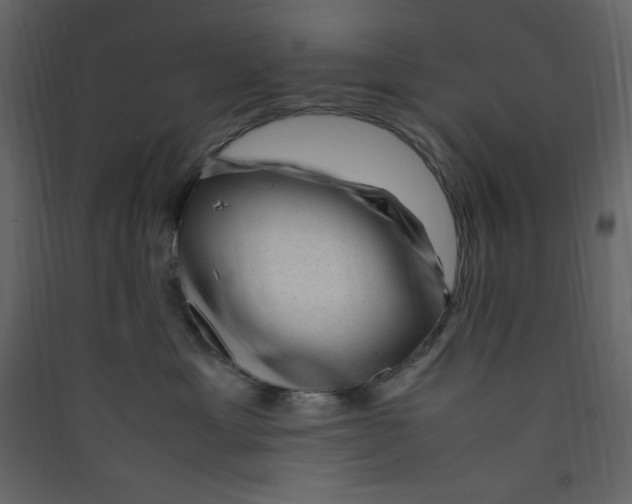 X0000089450429200707131931