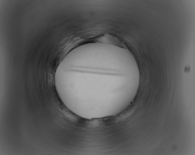 X0000089450432200707131931