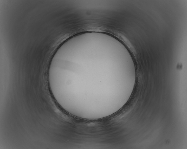 X0000089450433200707131930