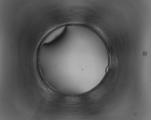 X0000089450435200707131930