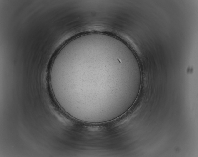 X0000089450439200707131930