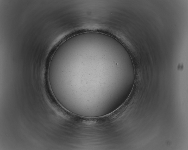 X0000089450440200707131930