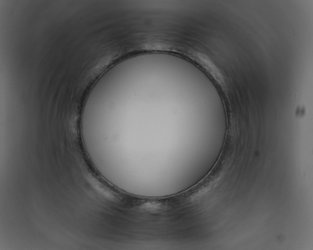 X0000089450441200707131930