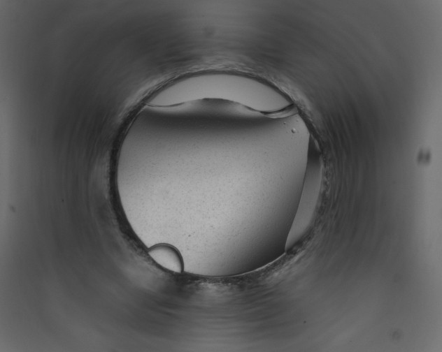 X0000089450442200707131930