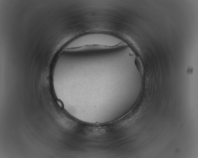 X0000089450443200707131930