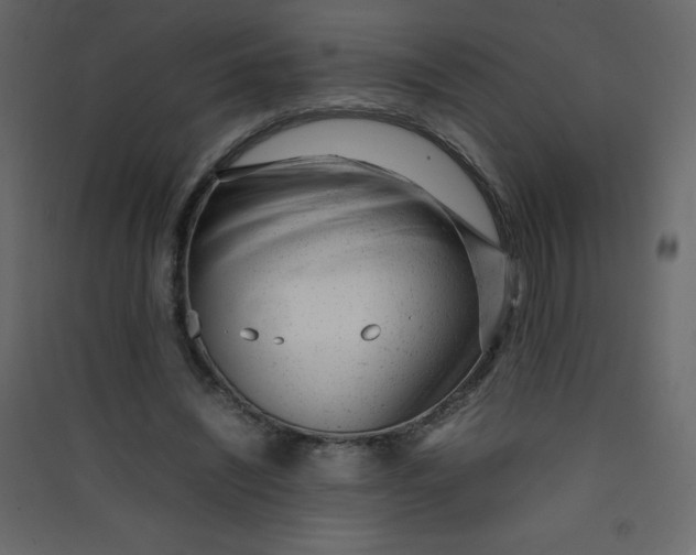 X0000089450444200707131930