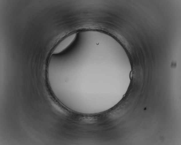 X0000089450445200707131930