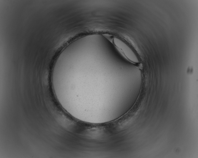 X0000089450447200707131930