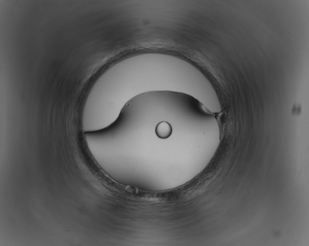 X0000089450448200707131930