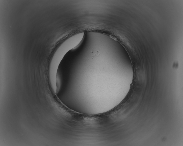 X0000089450450200707131930