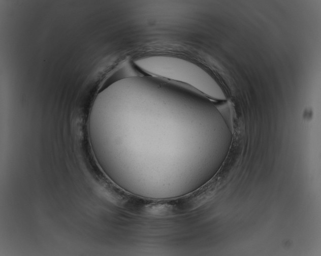 X0000089450452200707131930