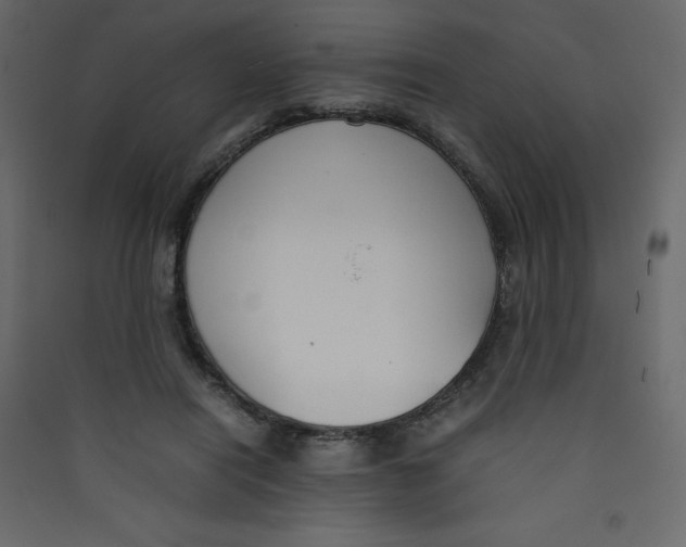 X0000089450454200707131930