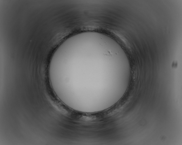 X0000089450455200707131930