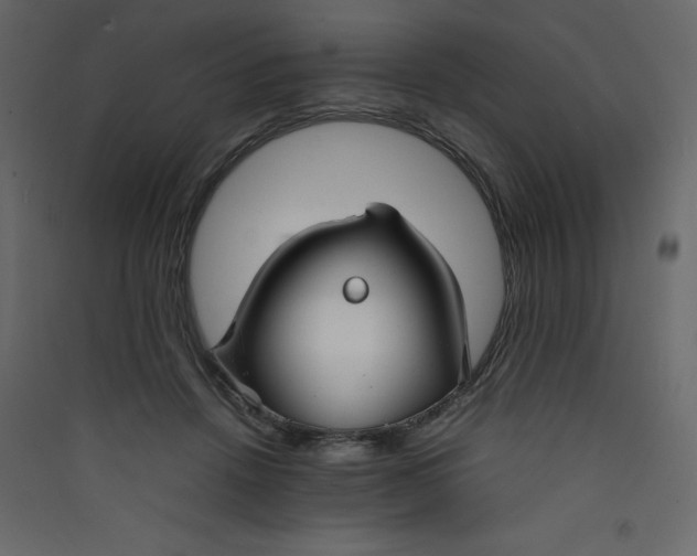 X0000089450456200707131930