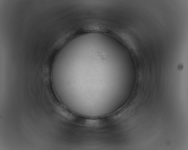 X0000089450457200707131930