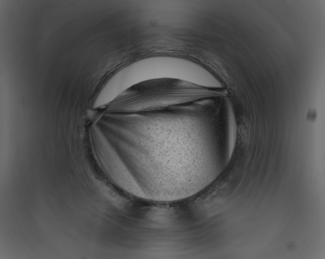 X0000089450458200707131930