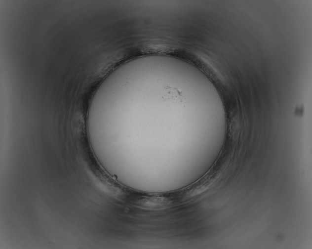 X0000089450459200707131930