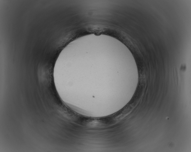 X0000089450460200707131930