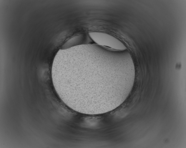 X0000089450465200707131930