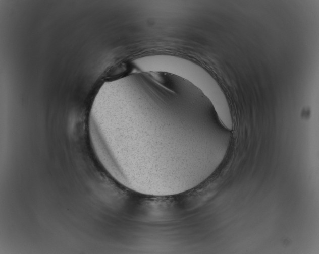 X0000089450466200707131930